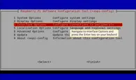 Go to Interface Options and press Enter to select it.