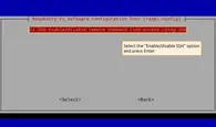Select the "Enable/disable remote command line access using SSH" option and press Enter.