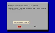 Select Yes to confirm that the SSH server is to be enabled