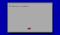 A confirmation message should appear indicating that the SSH server is enabled.
