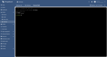 Now you can see the shell interface (_connection setups automatically_).