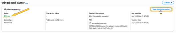 Once the <b>MSK cluster</b> switches to the "<b>Active</b>" state, navigate to "<b>Details</b>" and click "<b>View client information</b>".