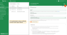 TLS authentication with "Use certificate CN regex" enabled to match certificate common name using a regex pattern.