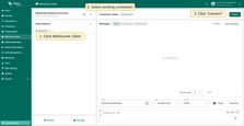 Navigate to the "WebSocket Client" page, select working connection, then click "Connect".