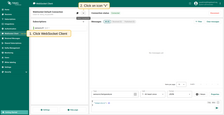 Go to the WebSocket Client page and click the Select Connection, represented by the expand more icon.