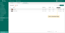 If you're using the list view of images, click the "Download image" icon next to the image name that you want to export. The image in image file format will be saved to your PC.