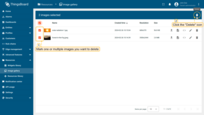 Mark one or multiple images you want to delete. Click on the "Delete" bin icon in the top right corner;
